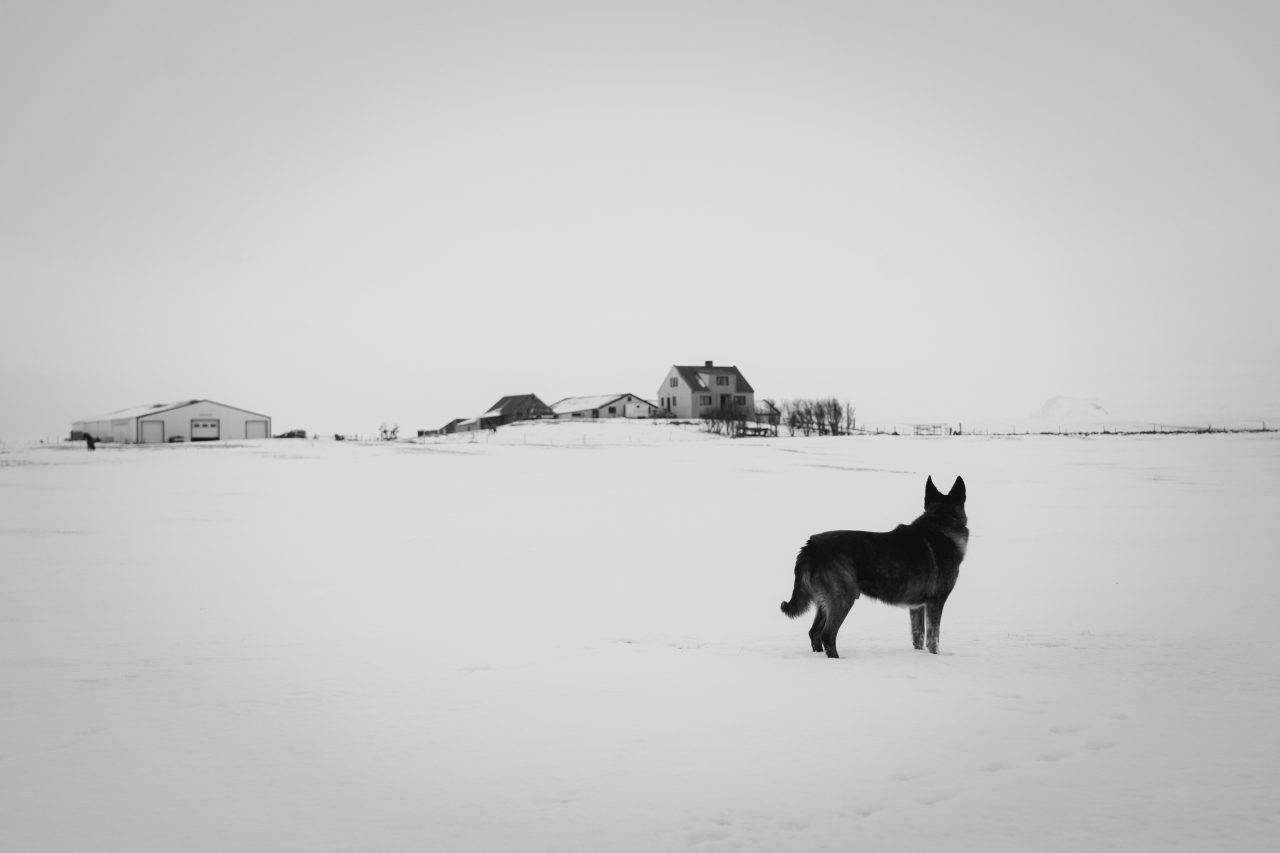 Vše co potřebujete vědět o bílé barvě