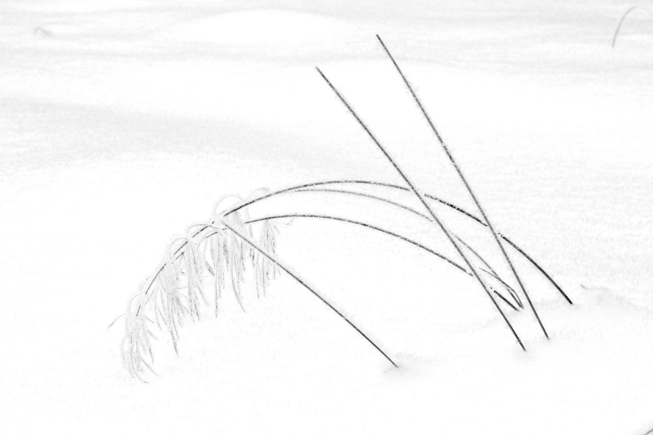 TOP 10, Černobílý minimalismus, Galerie, Gabriele Riffaldi