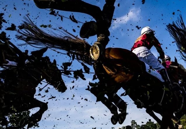 Rukopis fotografa, Vondrouš