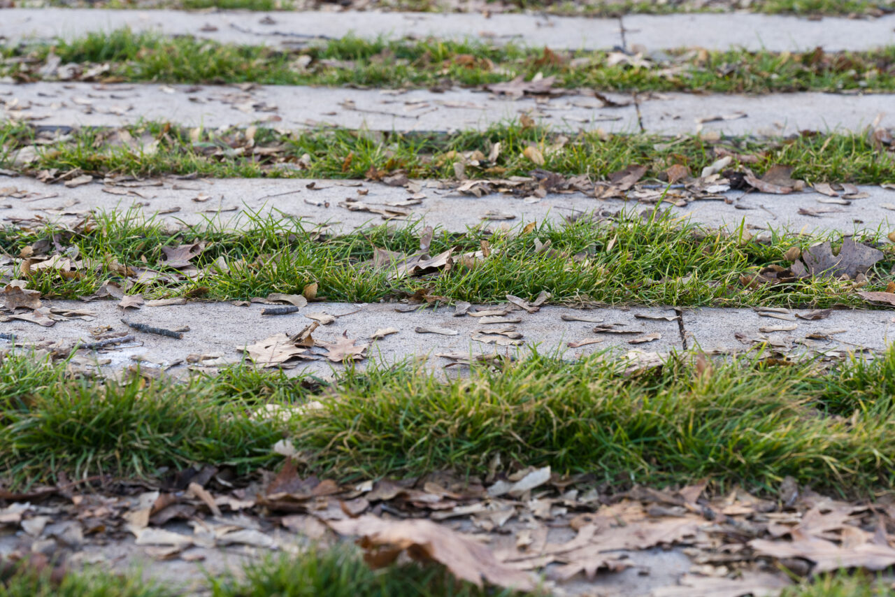 Jak na kompozici, opakování vzoru