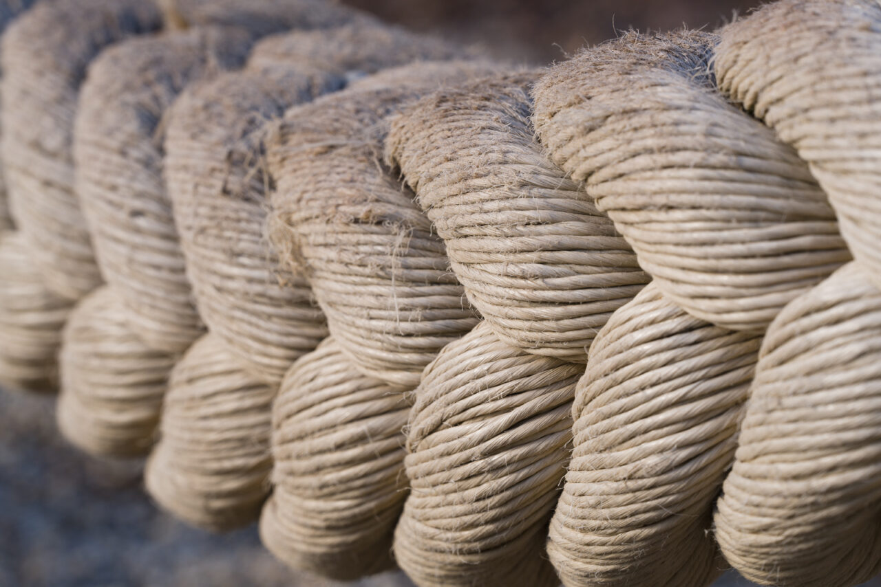 Jak na kompozici, opakování, teleobjektiv