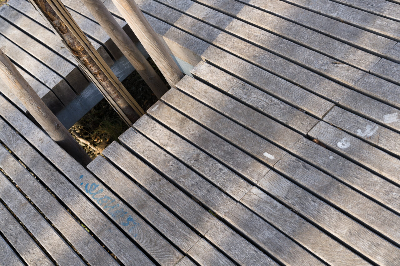 Jak na kompozici, vodicí linie ve větším množství