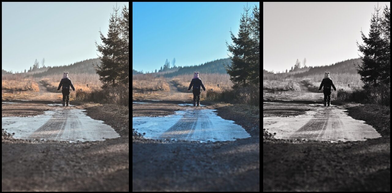 Ukázky Snap Bridge, foceno pro recenzi foťáku Nikon Z50II