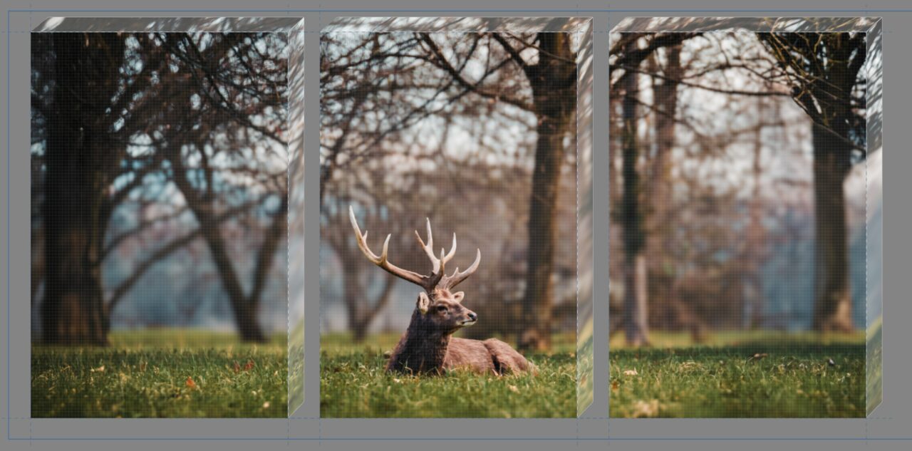 Fotoobrazy na míru: Rozdělte fotku na více pláten