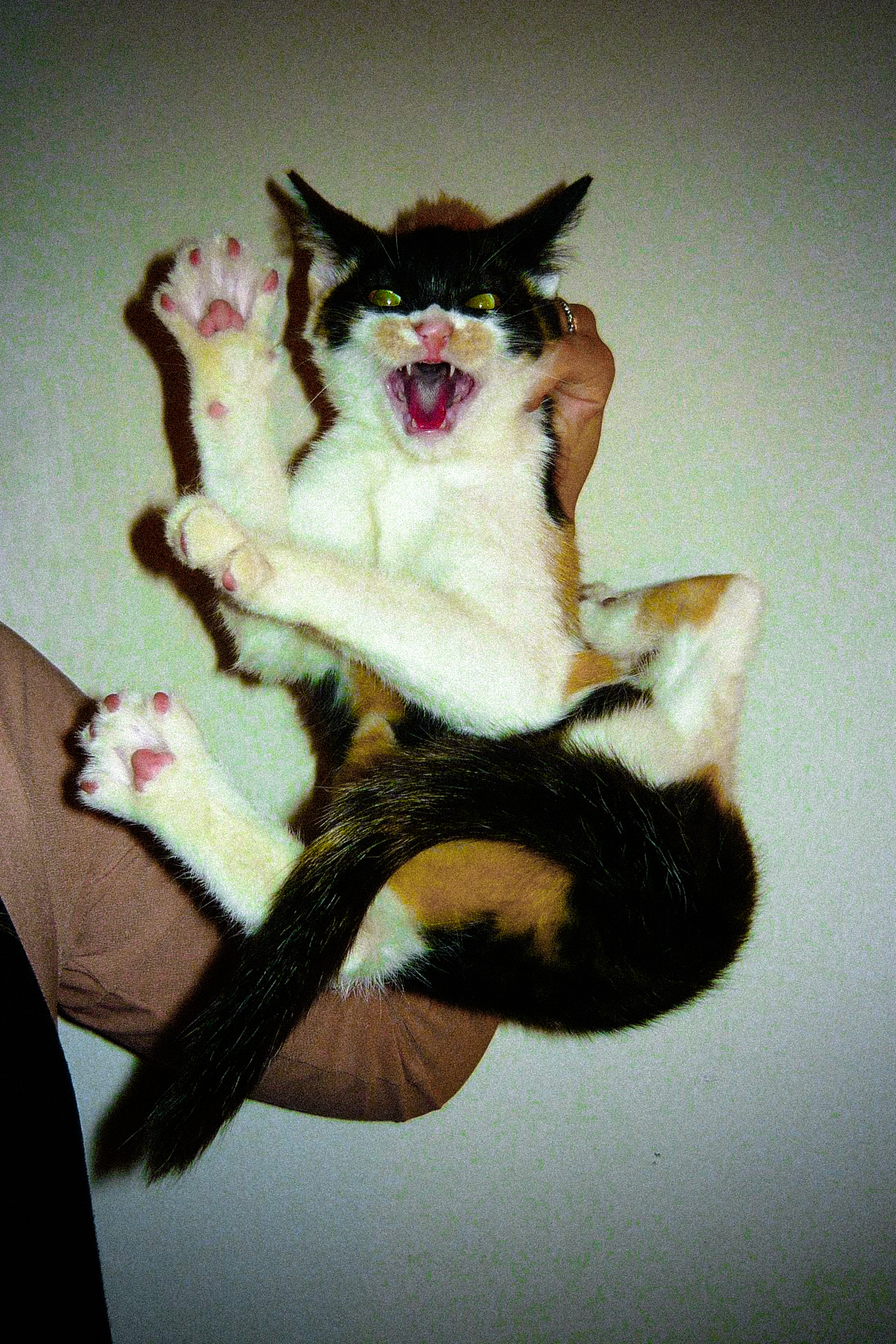 Umělecká fotografie – deník