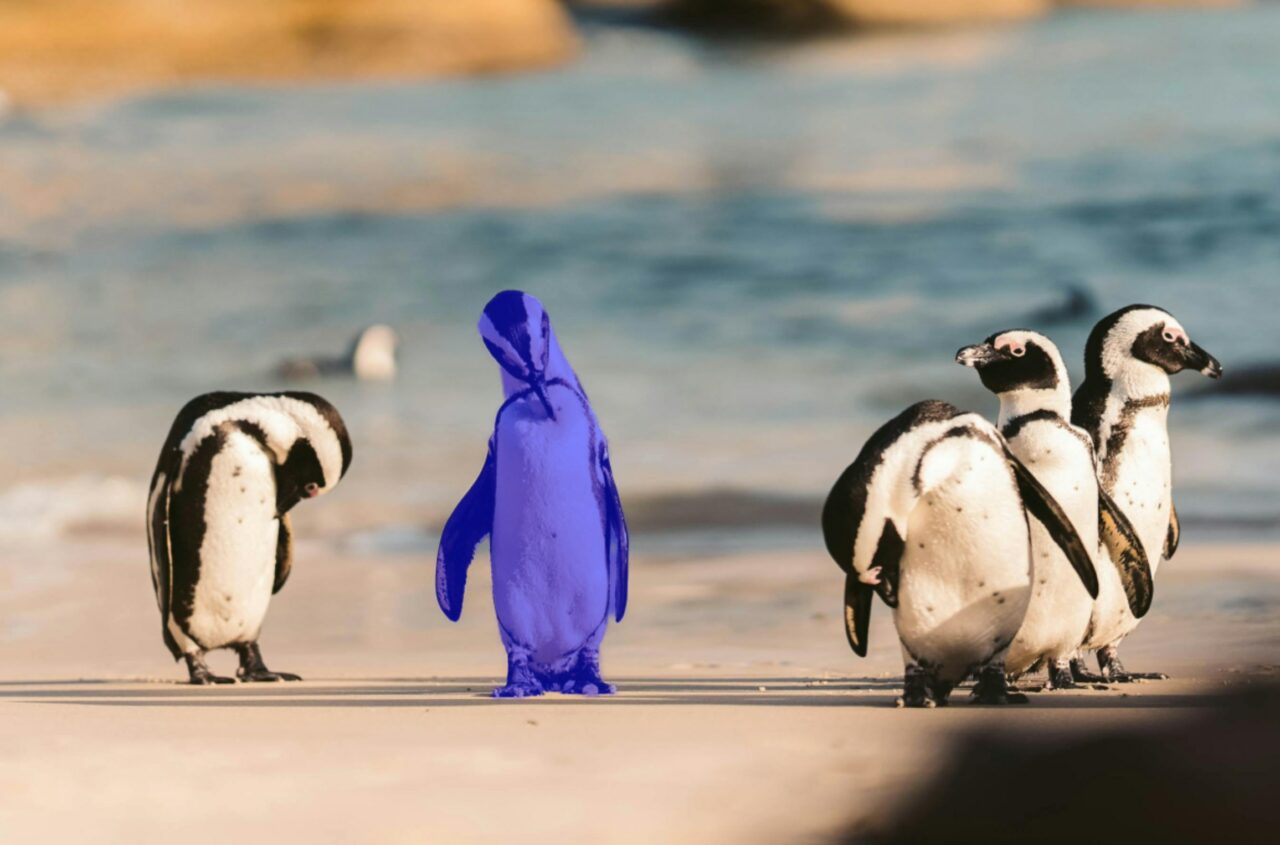 AI masky v ZPS X: Lokální úpravy fotek rychleji a přesněji – AI výběr objektu